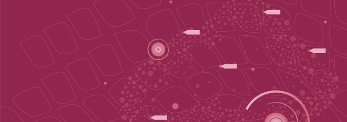 Uniting Purview and Third-Party Data Security Products